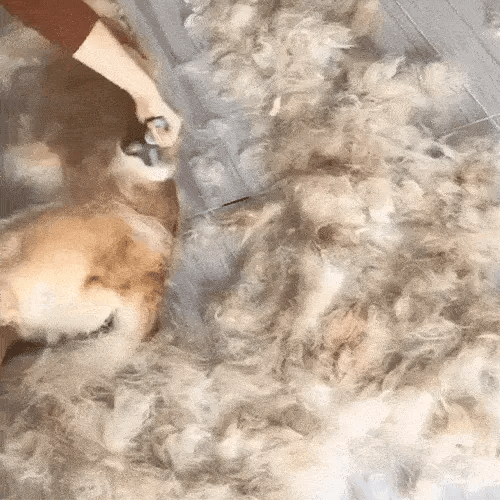 Dual-Sided Pet Grooming Tool