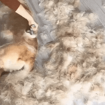 Dual-Sided Pet Grooming Tool