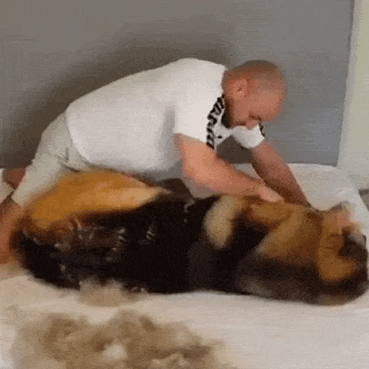 Dual-Sided Pet Grooming Tool